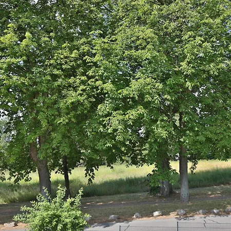 Haus Am Seehof 9 Ostseeliebe Nr 5